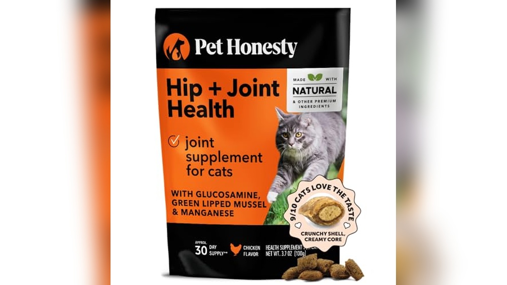 Best Hip And Joint Supplement for Cats: Top Choices for Healthy Mobility