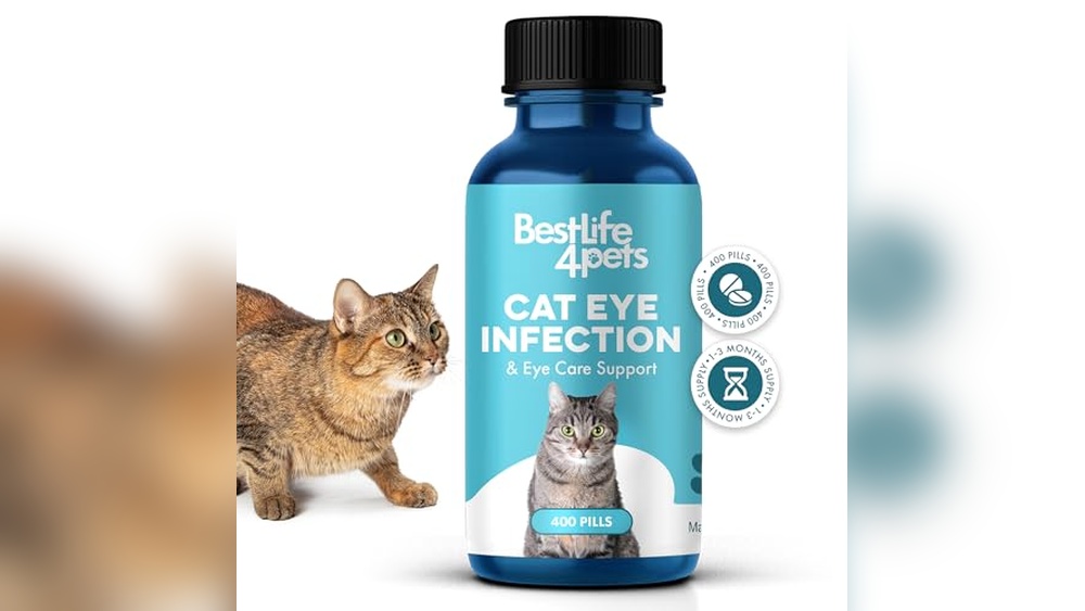 Best Home Remedy for Cat Eye Infection: Effective Natural Treatments Explained
