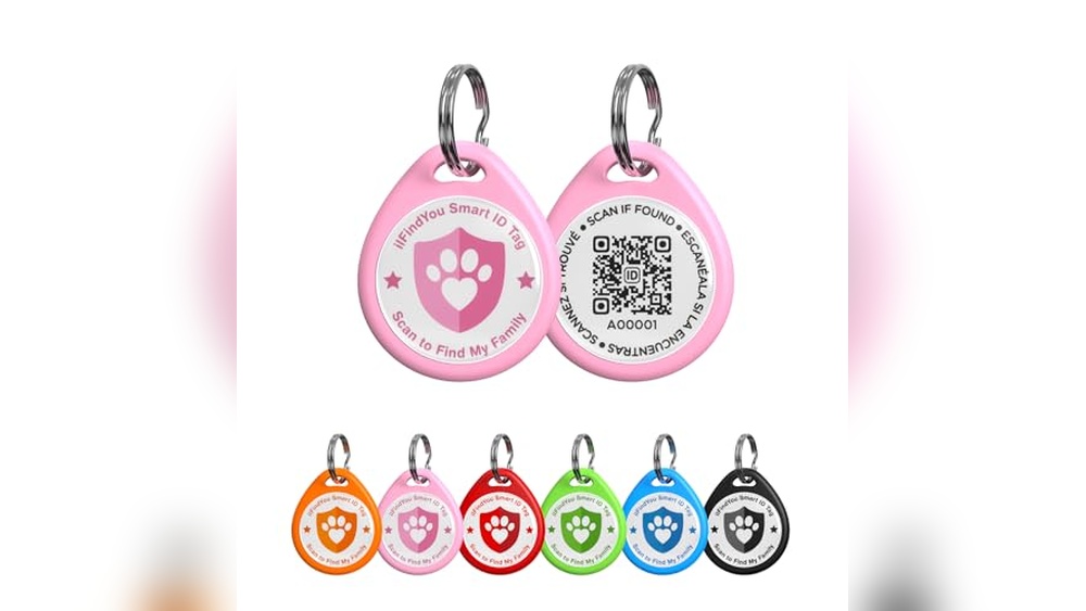 Best Human Names for Cats: Unique Personalized Tag Ideas for Your Kitty