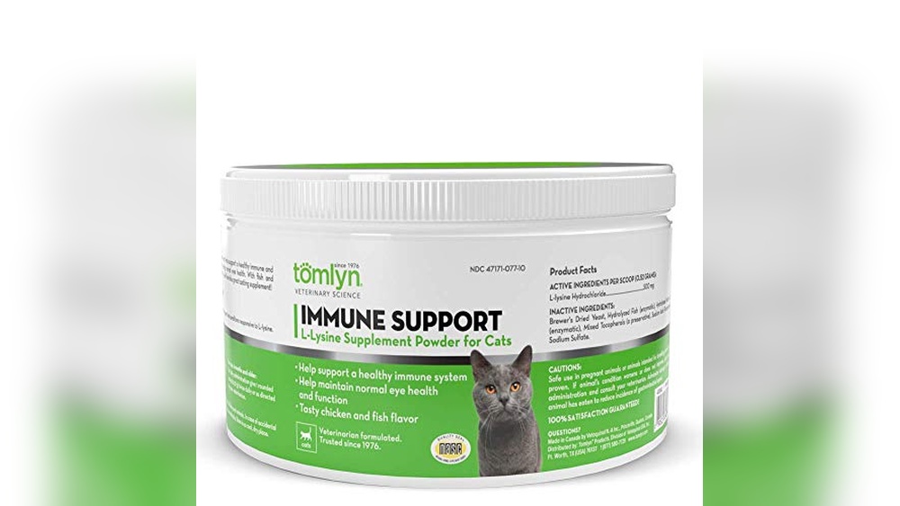 Best Immune Support for Cats