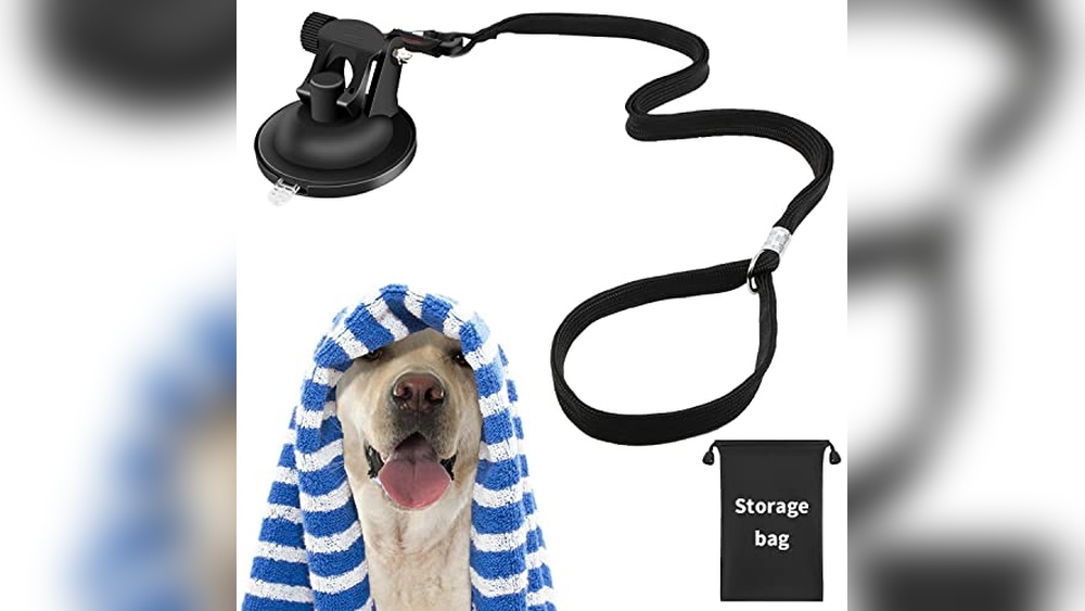 Best in Show Dog & Cat Groom Lockport Reviews: Top Grooming Tools