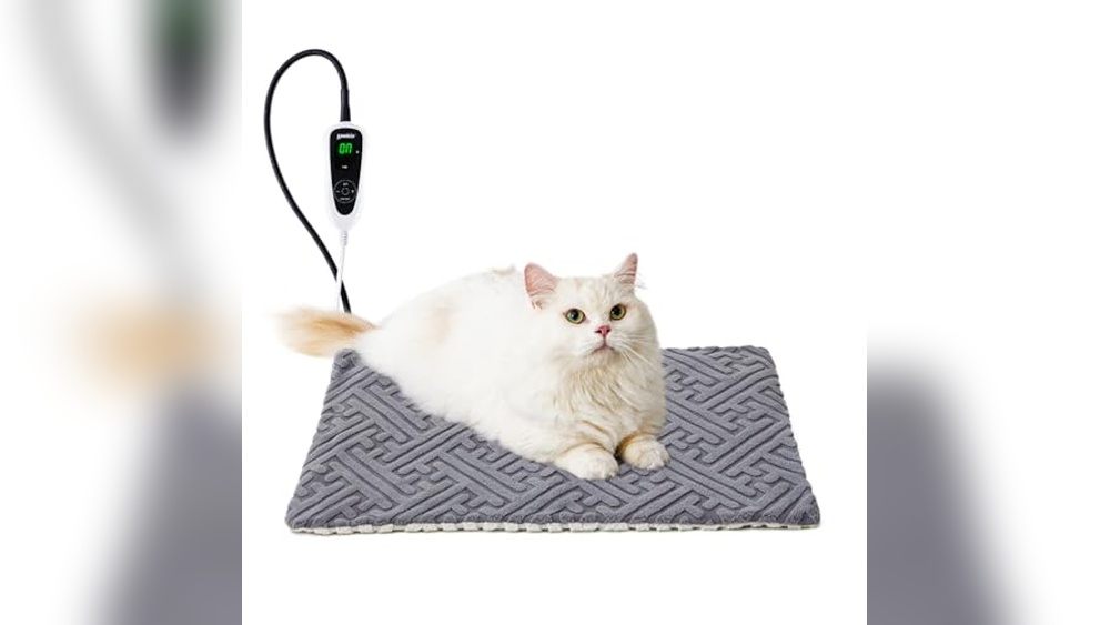 Best Indoor Temperature for Cats: Top Heated Beds for Cozy Comfort