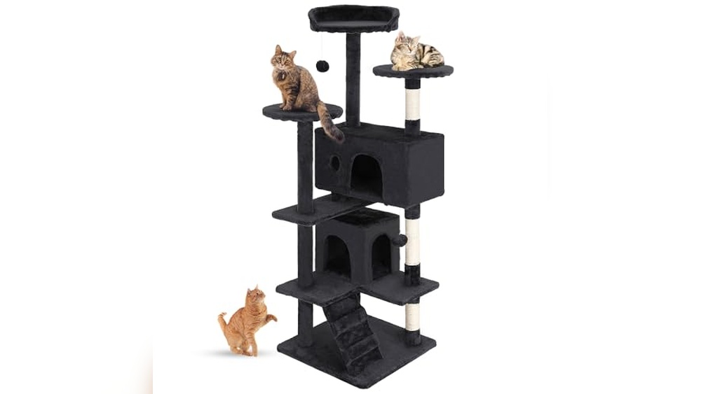 Best Indoor Trees Safe for Cats: Top Cat Towers and Condos Reviewed