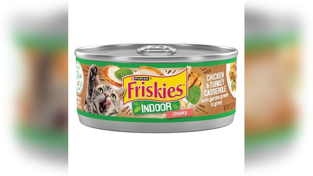 Best Indoor Wet Cat Food