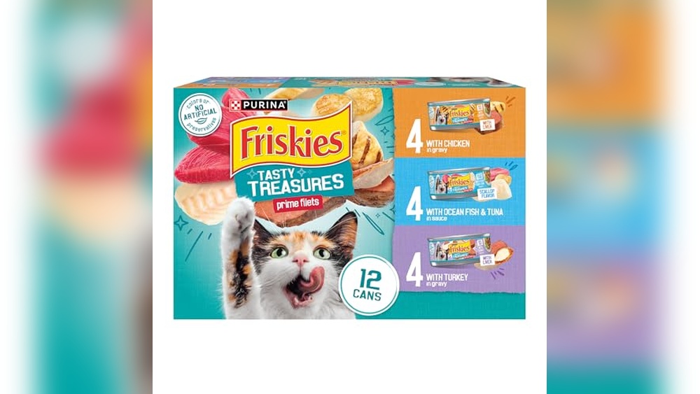 Best Inexpensive Canned Cat Food Packs Your Feline Will Love