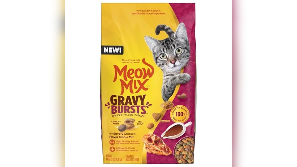 Best Inexpensive Outdoor Cat Food Options for Healthy, Happy Cats
