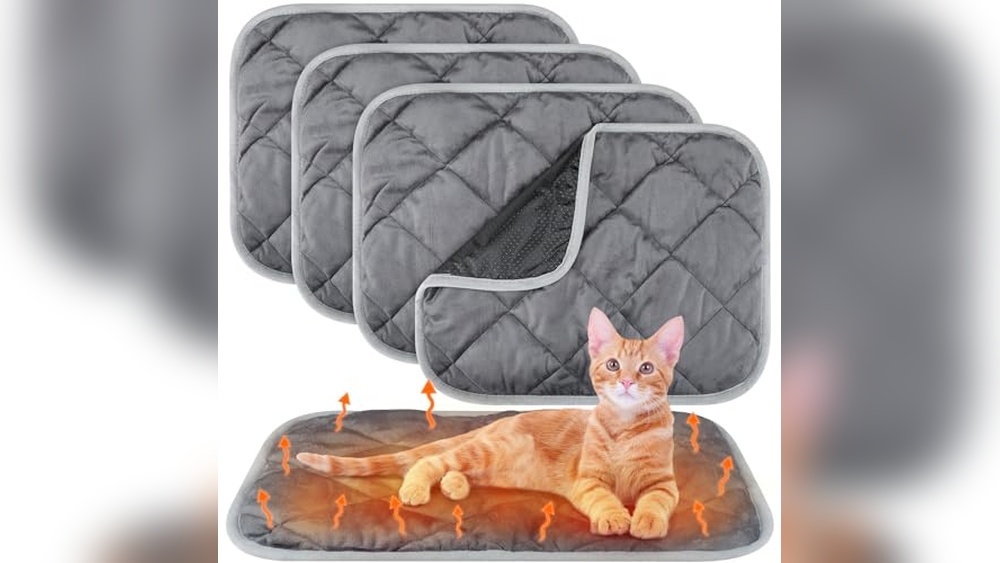 Best Insulation for Cat House: Top Warmth Solutions for Cozy Pets