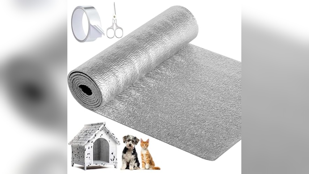 Best Insulation for Outdoor Cat House