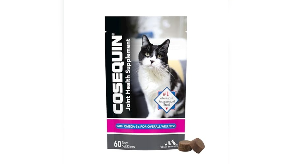 Best Joint Supplements for Cats to Boost Mobility and Comfort