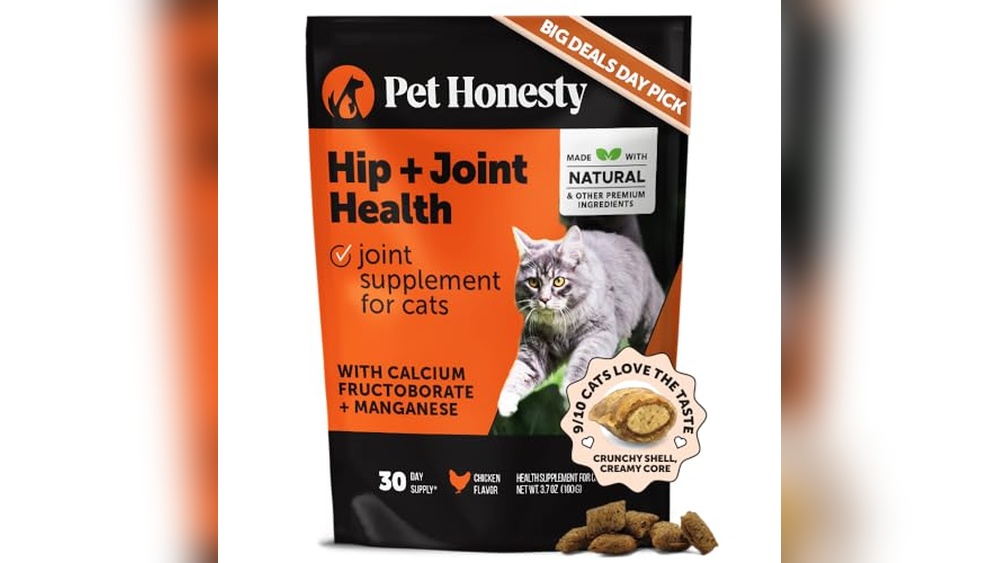 Best Joint Supplements for Senior Cats to Boost Mobility and Comfort