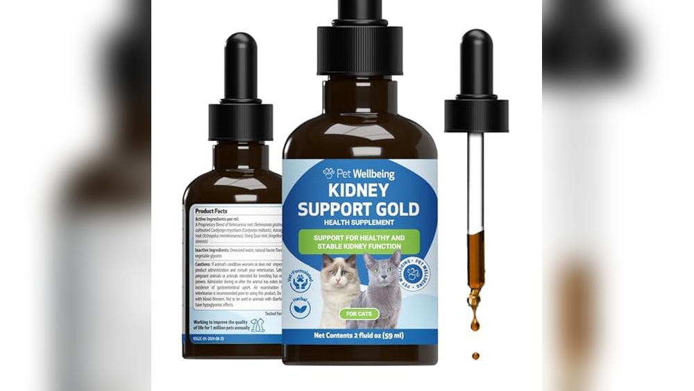 Best Kidney Supplements for Cats to Boost Health and Vitality