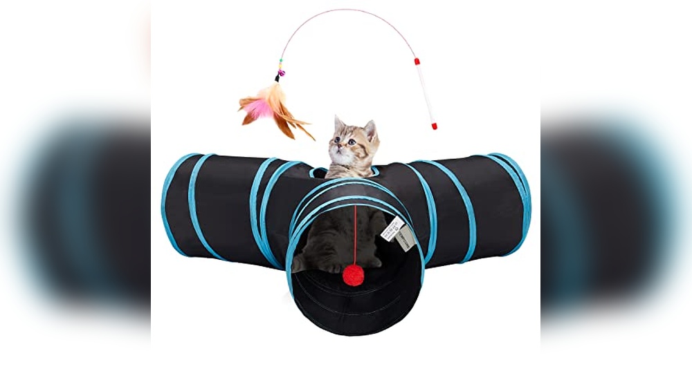 Best Kitten Toys for Indoor Cats to Keep Your Kitty Active and Happy