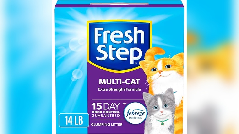 Best Kitty Litter for Long Haired Cats: Top Odor Control Picks