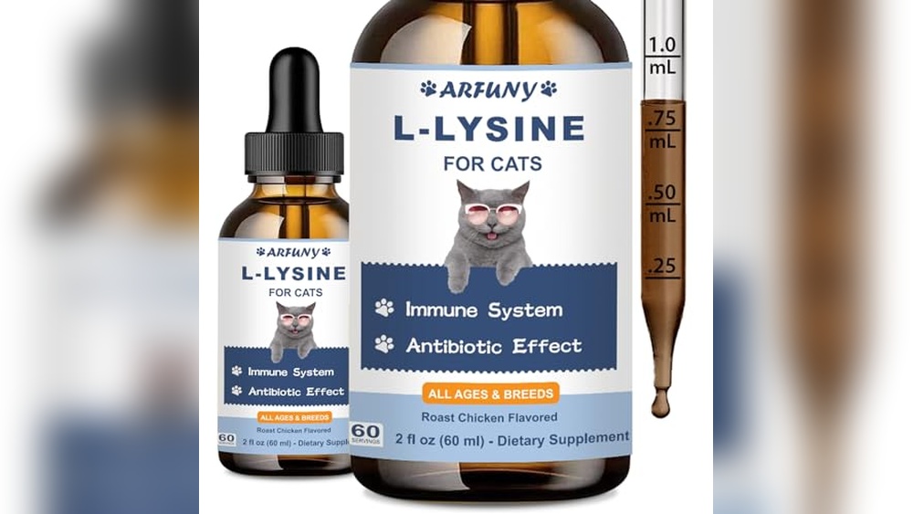 Best L Lysine for Cats