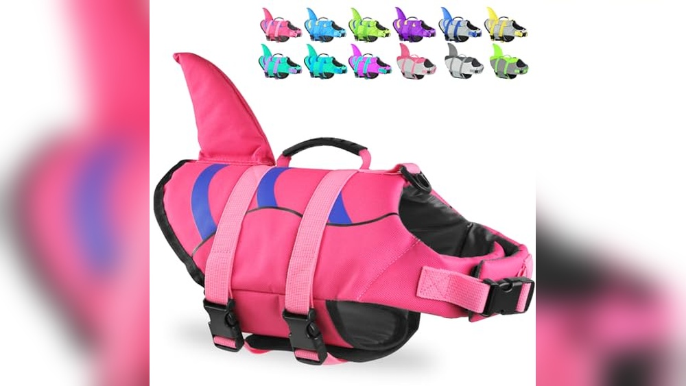 Best Life Jacket for Cats: Top Safety Vests for Swimming Fun