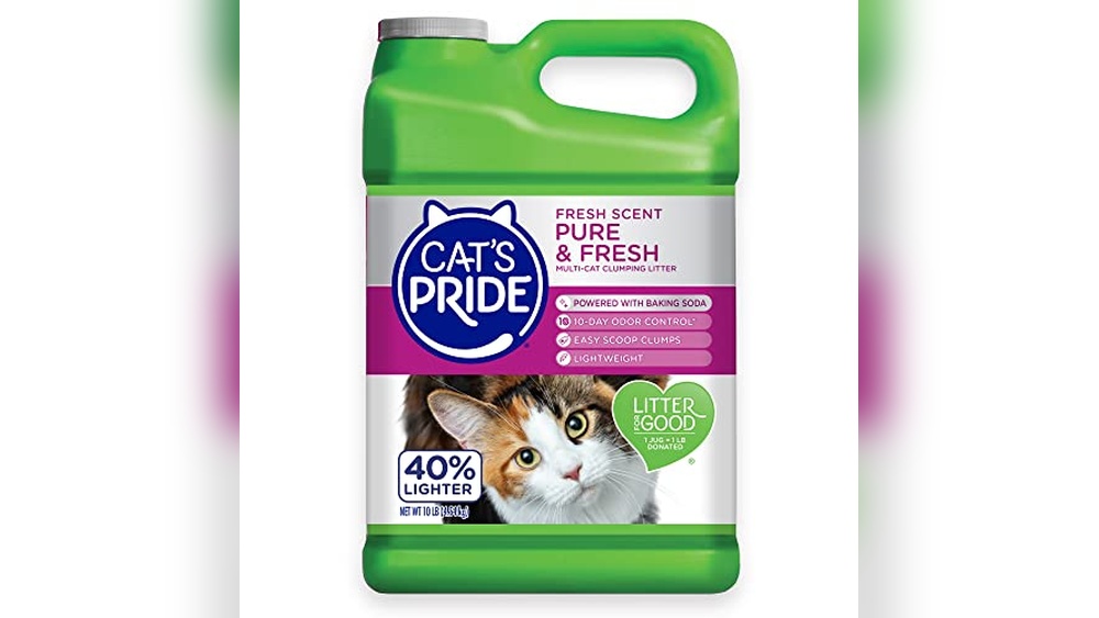 Best Lightweight Clumping Cat Litter for Odor Control and Easy Cleaning