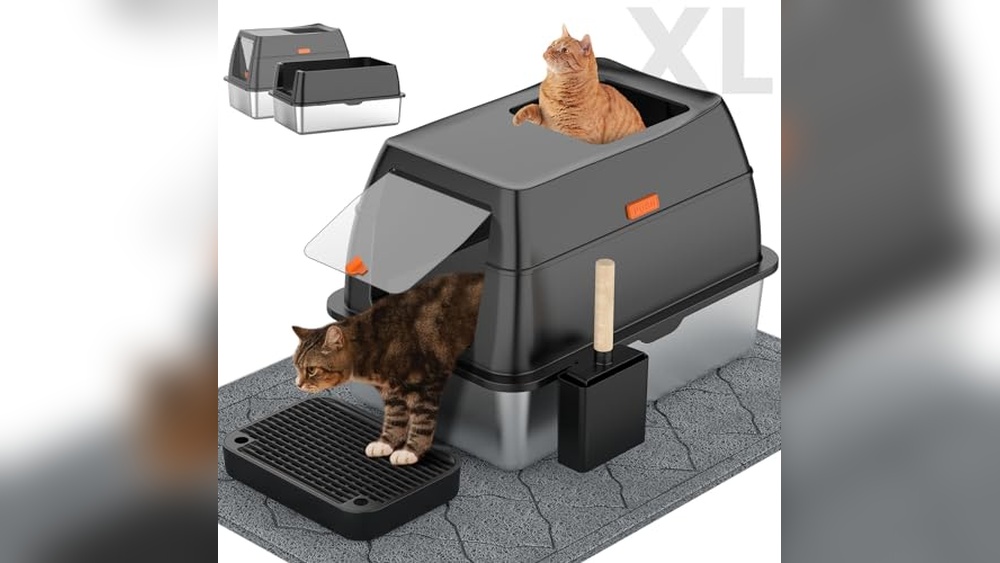 Best Litter Box for Cats Reddit