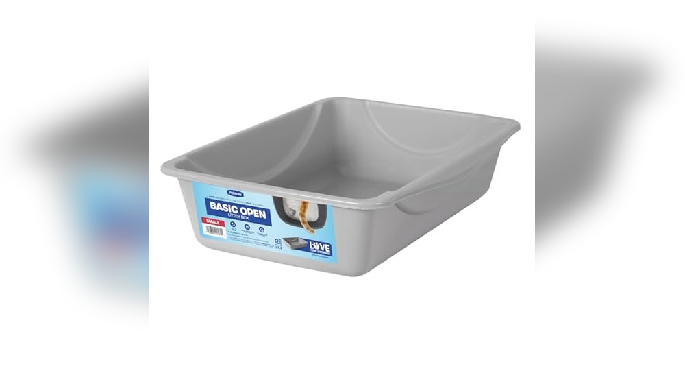 Best Litter Box for Cats: Top Picks for Clean, Odor-Free Homes
