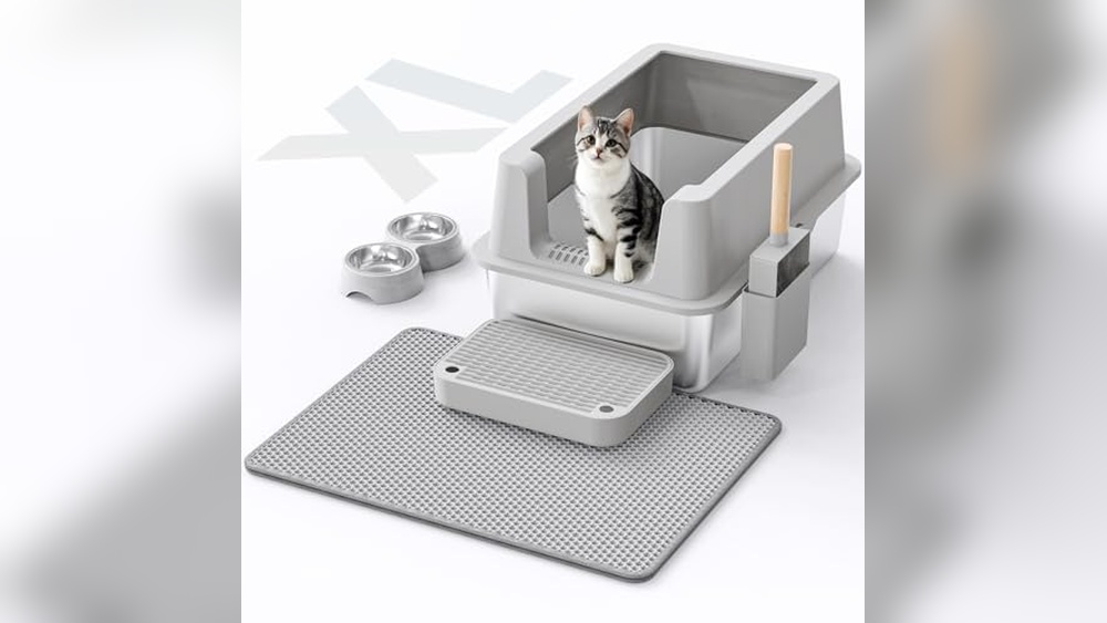 Best Litter Box for High Peeing Cat: Top Durable & Leak-Proof Picks