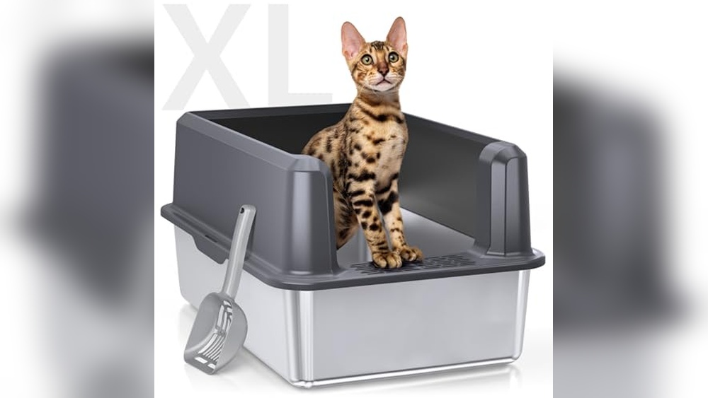 Best Litter Box for High Spraying Cats: Top Odor-Free Solutions Reviewed