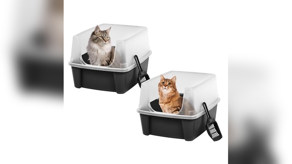 Best Litter Box for Multiple Large Cats: Top Durable Picks Reviewed