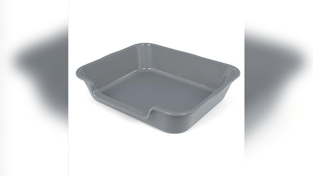 Best Litter Box for Senior Cats: Top Low Entry Options for Comfort