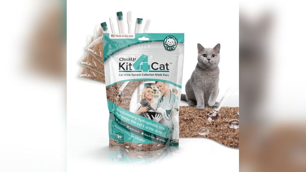 Best Litter for Cats With Urinary Problems