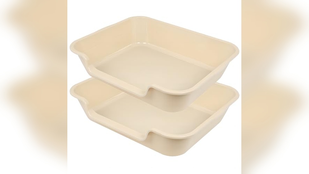 Best Litter for Senior Cats: Comfort and Care for Aging Felines