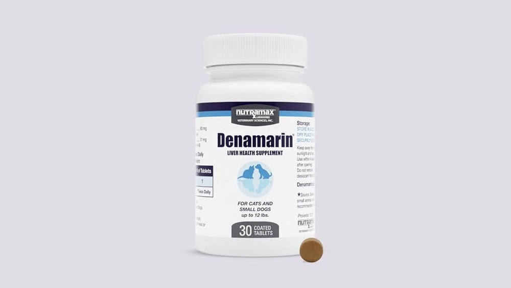 Best Liver Supplements for Cats to Boost Health and Vitality