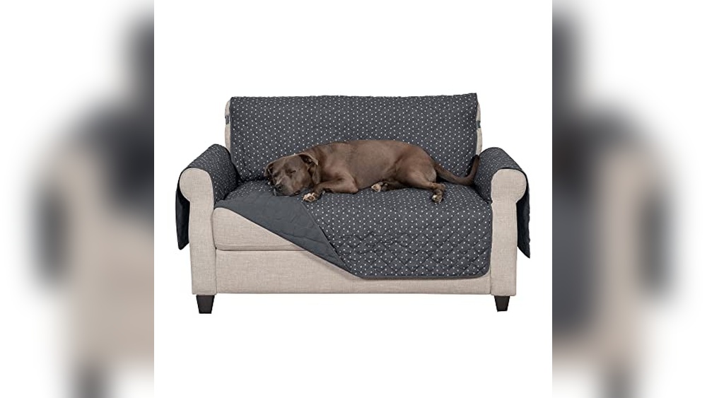 Best Lovesac Fabric for Cats: Ultimate Comfort and Protection Guide