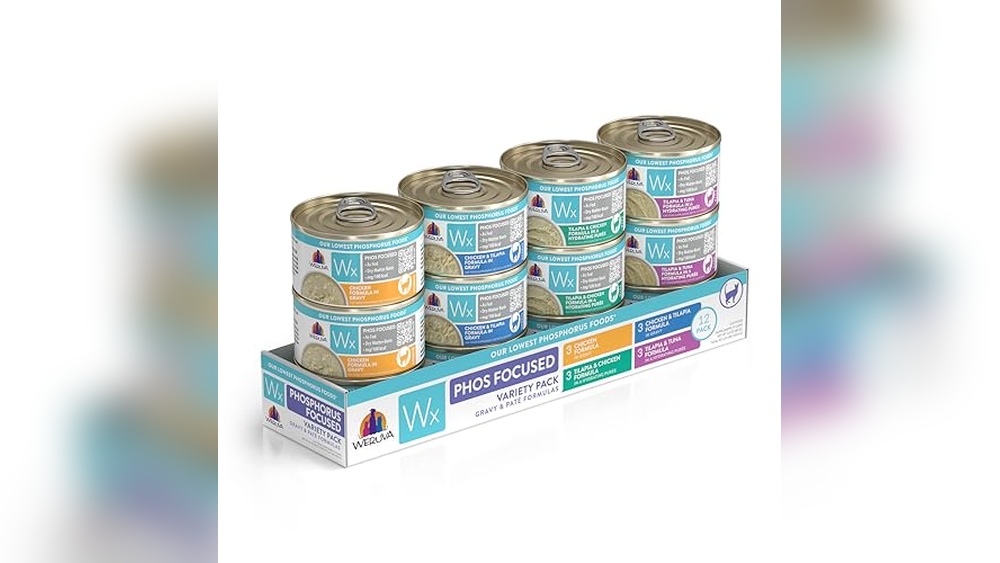 Best Low Phosphorus Cat Food for Kidney Health and Nutritional Support