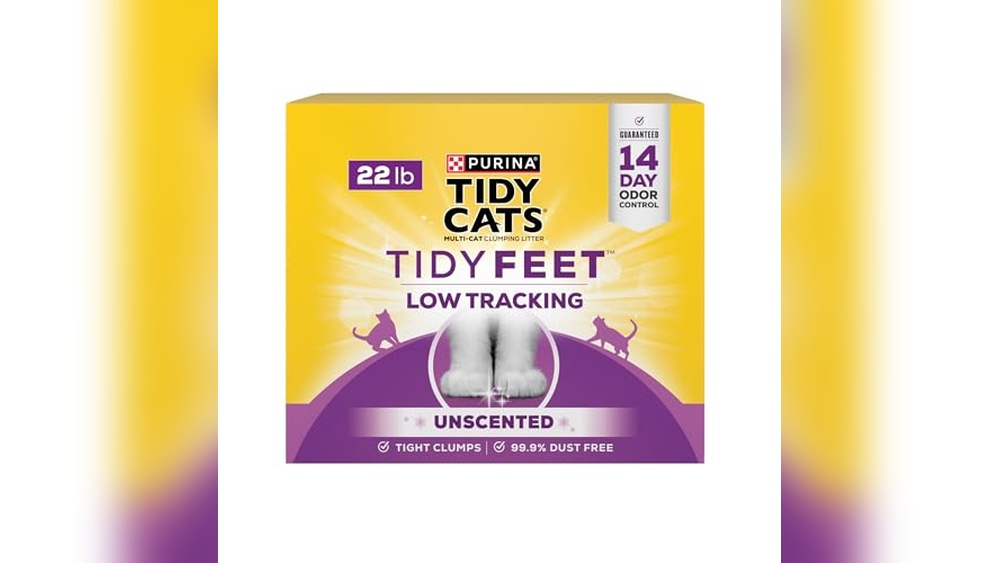 Best Low Tracking Cat Litter for Cleaner Paws and Odor Control