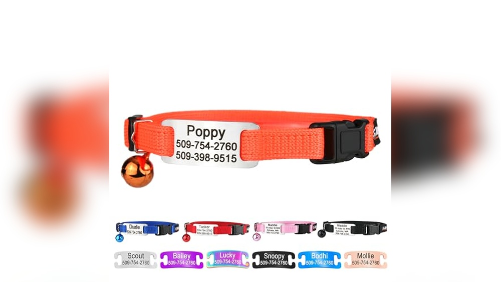 Best Male Orange Cat Names for Personalized Collar and Tag Ideas