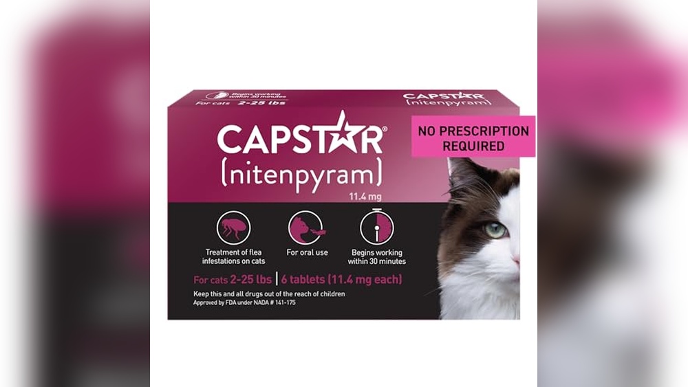 Best Medication for Aggressive Cats: Top Calming Solutions and Treatments