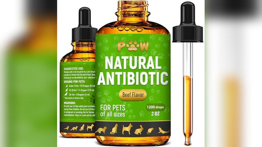 Best Medication for Inappropriate Urination in Cats: Top Antibiotic Choices