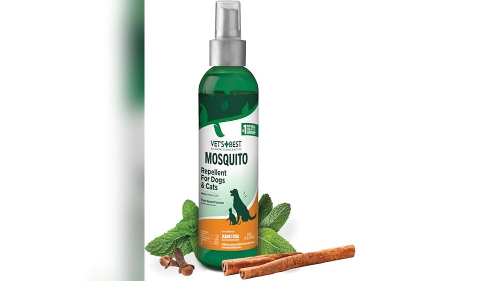 Best Mosquito Repellent for Cats: Top Natural and Safe Protection Options