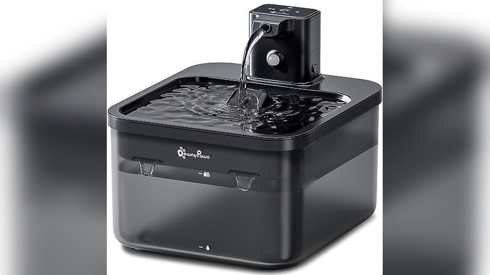 Best Motion Sensor Cat Water Fountain for Healthy Hydration at Home