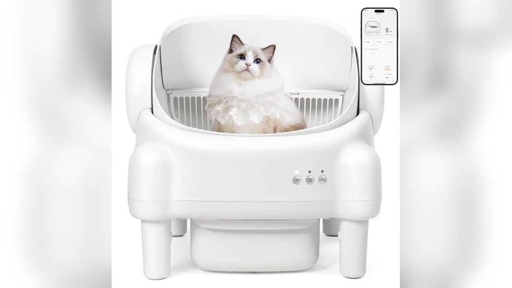 Best Multiple Cat Litter Box