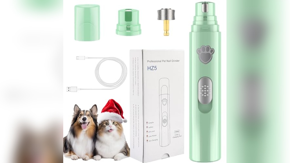 Best Nail File for Cats: Top Grooming Tools for Smooth Claws