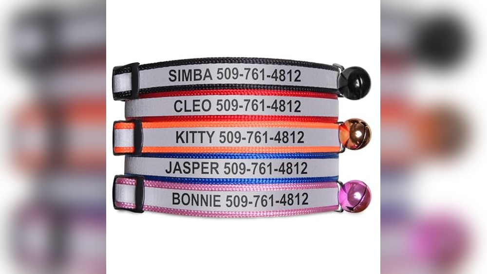 Best Names for a Black Cat to Match Personalized Reflective Collars
