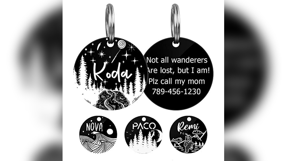 Best Names for Black And White Cats: Unique Ideas for Your Pet ID Tags