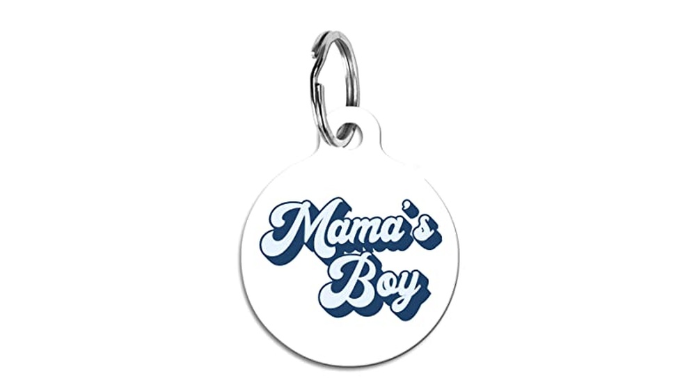 Best Names for Boy Cats: Unique Personalized Tag Ideas to Impress