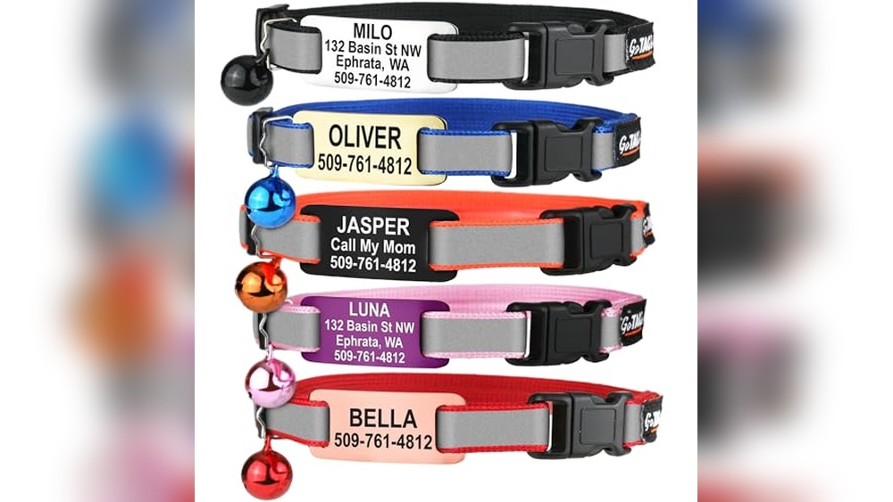 Best Names for Female Cats with Stylish Personalized Collar Ideas