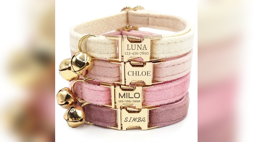 Best Names for Girl Cats Paired with Personalized Velvet Collars