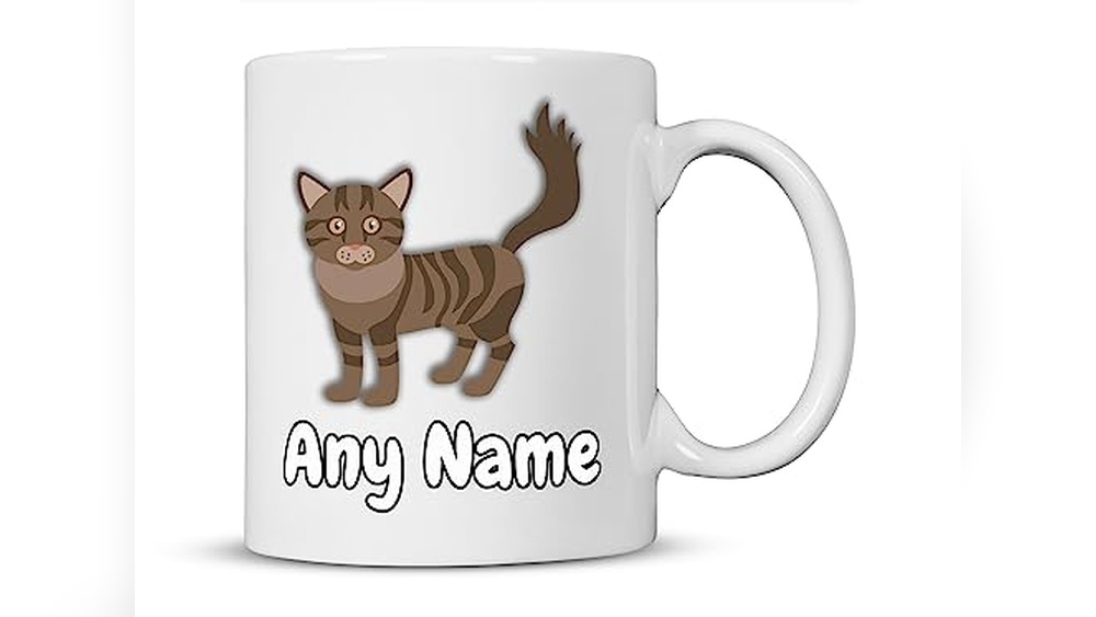 Best Names for Maine Coon Cats: Unique Ideas for Your Furry Friend