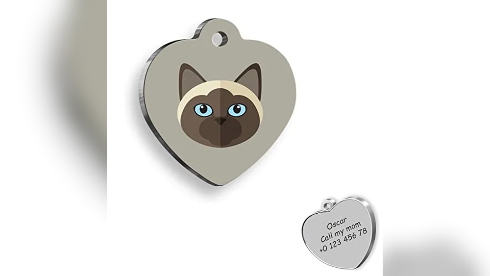 Best Names for Siamese Cats: Unique Ideas for Personalized Cat Tags