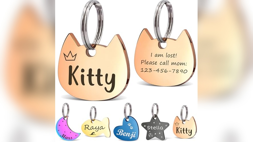 Best Names for White Cats: Unique Tags and Collars to Personalize