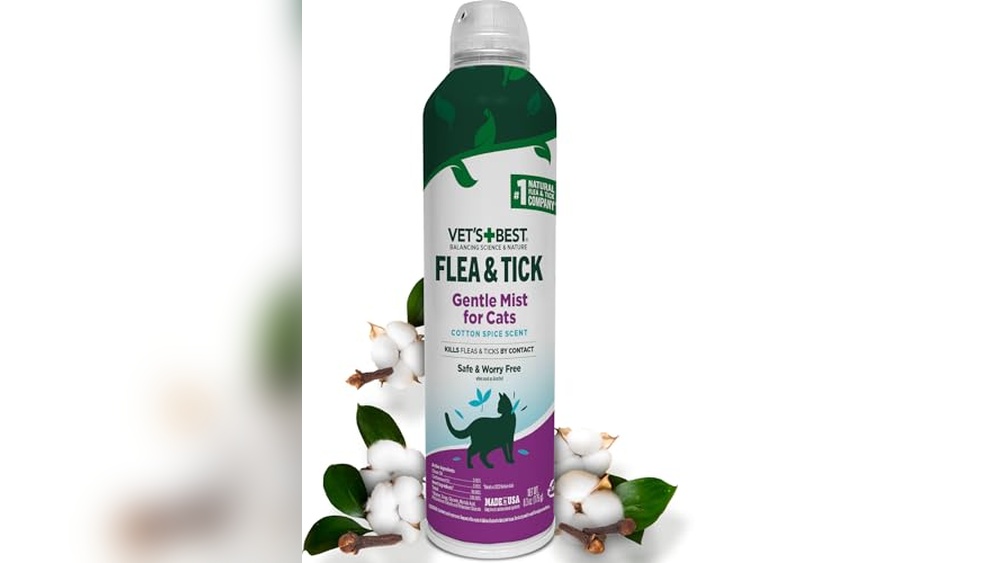 Best Natural Cat Flea Treatment: Safe, Effective Solutions for Your Cat