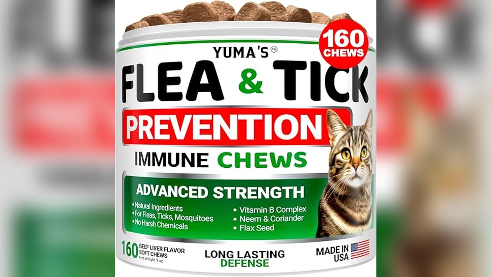 Best Natural Flea Control for Cats: Top Effective Treatments Reviewed