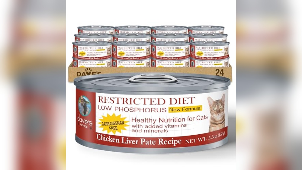 Best Non Prescription Cat Food for Kidney Disease: Top Healthy Picks
